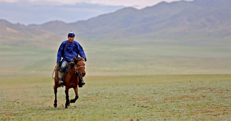 Journey across Mongolian